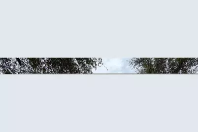 902 S Surfside Drive, Gilbert, AZ 85233 - Photo 34