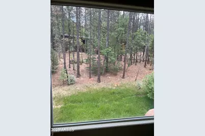 3880 S Mule Skinner Loop, Show Low, AZ 85901 - Photo 16