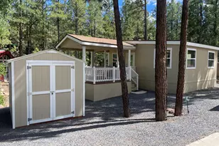 3880 S Mule Skinner Loop, Show Low, AZ 85901 - Photo 2