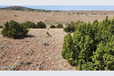 1470 E Concho Highway #-, Concho, AZ 85924 - Photo 4