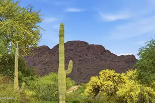 5482 S Pyrite Cir, Gold Canyon, AZ 85118 - Photo 32