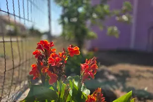 114 B St, Bisbee, AZ 85603 - Photo 38