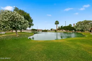 1596 Leisure World, Mesa, AZ 85206 - Photo 40