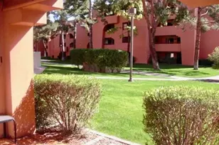 4303 E Cactus Rd, Phoenix, AZ 85032 - Photo 8