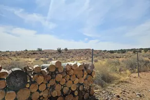 6472 River Rd, Holbrook, AZ 85942 - Photo 4