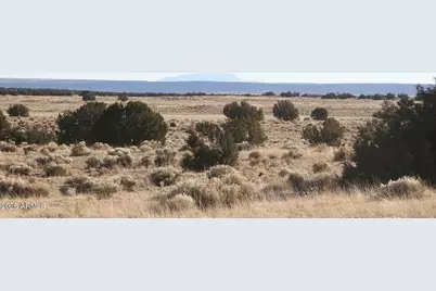 684 County Rd 6268 -- #-, Saint Johns, AZ 85936 - Photo 8