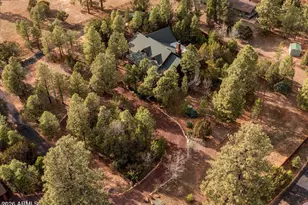 2952 Country View Ln, Overgaard, AZ 85933 - Photo 68
