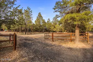 2952 Country View Ln, Overgaard, AZ 85933 - Photo 60