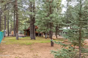 1895 Ferret Cir, Forest Lakes, AZ 85931 - Photo 36