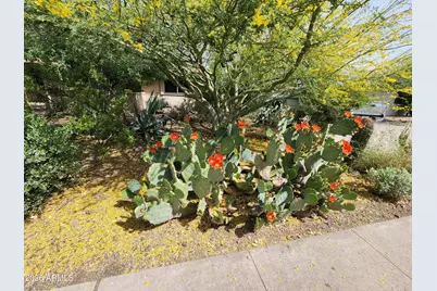 1222 E Wesleyan Drive, Tempe, AZ 85282 - Photo 2