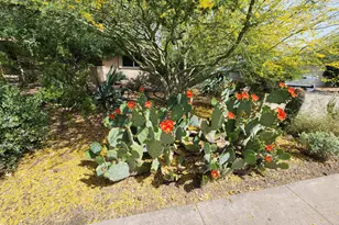 1222 E Wesleyan Dr, Tempe, AZ 85282 - Photo 2