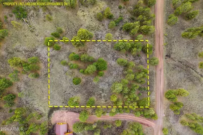 44 N N1330 -- #11, Greer, AZ 85927 - Photo 2