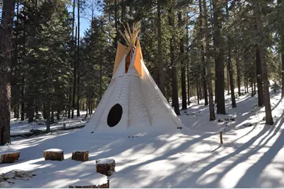 44 N County Road N1330 Road #11, Greer, AZ 85927 - Photo 8