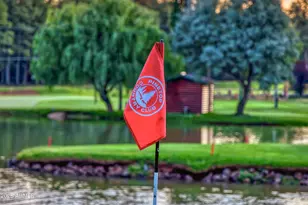 8224 White Oak Rd, Pinetop, AZ 85935 - Photo 48