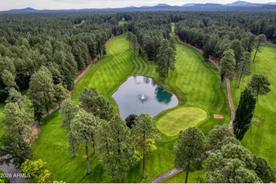 8224 White Oak Road, Pinetop, AZ 85935 - Photo 46