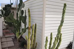 204 E Gila Dr, Florence, AZ 85132 - Photo 90