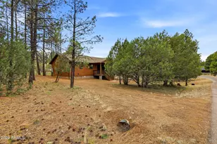 2934 Ransack Rd, Overgaard, AZ 85933 - Photo 4