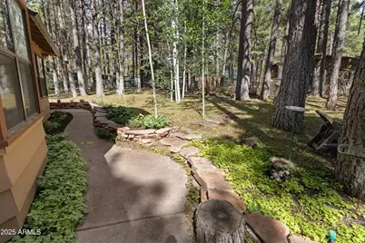 3910 Larson Loop, Forest Lakes, AZ 85931 - Photo 10