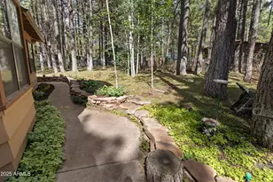 3910 Larson Loop, Forest Lakes, AZ 85931 - Photo 10
