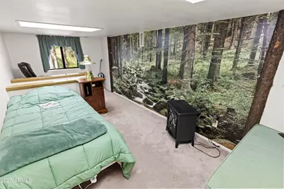 3910 Larson Loop, Forest Lakes, AZ 85931 - Photo 52