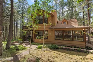 3910 Larson Loop, Forest Lakes, AZ 85931 - Photo 8