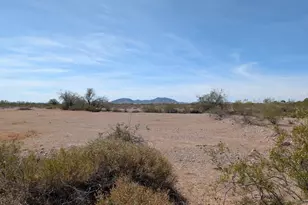 42198 W Rose Ln, Tonopah, AZ 85354 - Photo 1