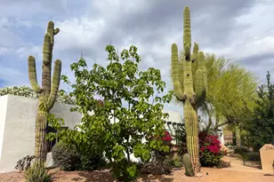 23405 N 84th St, Scottsdale, AZ 85255 - Photo 38