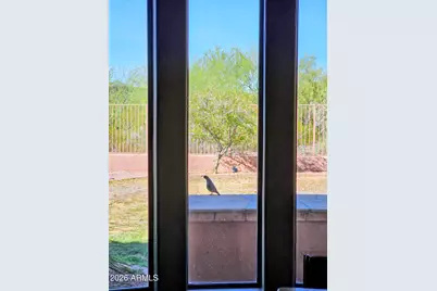 1428 E Breezy Court, Phoenix, AZ 85086 - Photo 22