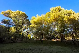 1225 N Willow Point Rd, Cornville, AZ 86325 - Photo 132