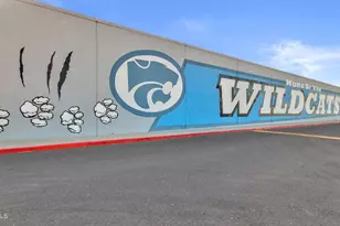 1334 W Sandpiper Dr, Gilbert, AZ 85233 - Photo 114