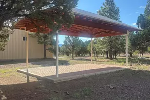 31 E County Road N2163 Dr, Nutrioso, AZ 85932 - Photo 62