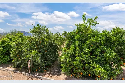 48234 N 513th Avenue, Aguila, AZ 85320 - Photo 40