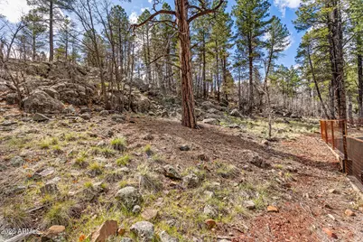 789 N Forest View Drive, Flagstaff, AZ 86001 - Photo 58