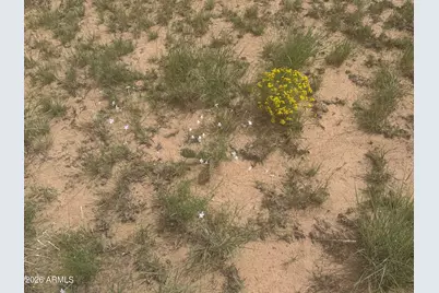 Lot 215 Woodland Valley Ranch -- #215, Saint Johns, AZ 85936 - Photo 8