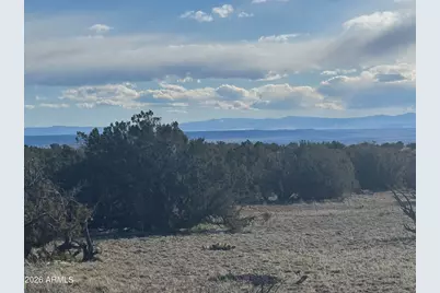 Lot 215 Woodland Valley Ranch -- #215, Saint Johns, AZ 85936 - Photo 2