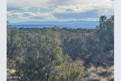 Lot 215 Woodland Valley Ranch -- #215, Saint Johns, AZ 85936 - Photo 10
