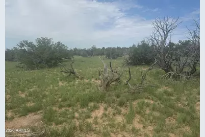 Lot 215 Woodland Valley Ranch -- #215, Saint Johns, AZ 85936 - Photo 6