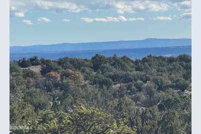 Lot 215 Woodland Valley Ranch -- #215, Saint Johns, AZ 85936 - Photo 16