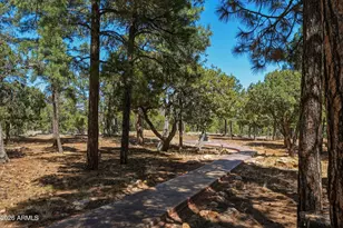 6841 Whispering Pine Dr, Happy Jack, AZ 86024 - Photo 46