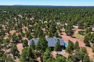 6841 Whispering Pine Dr, Happy Jack, AZ 86024 - Photo 60