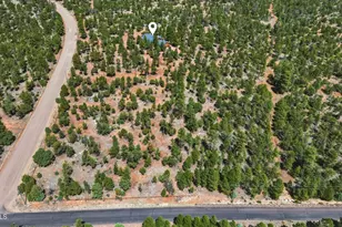 6841 Whispering Pine Dr, Happy Jack, AZ 86024 - Photo 62