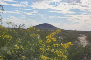 3544 N Chapparel Dr, Florence, AZ 85132 - Photo 54