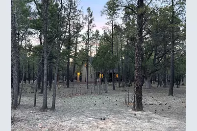 2799 Apache Drive, Happy Jack, AZ 86024 - Photo 2