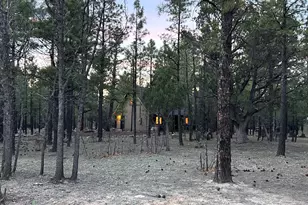 2799 Apache Dr, Happy Jack, AZ 86024 - Photo 2