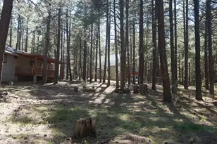 1667 Little Pine Trail, Forest Lakes, AZ 85931 - Photo 40