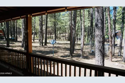 1667 Little Pine Trail, Forest Lakes, AZ 85931 - Photo 22