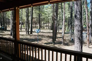 1667 Little Pine Trail, Forest Lakes, AZ 85931 - Photo 22
