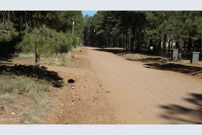 1667 Little Pine Trail, Forest Lakes, AZ 85931 - Photo 42