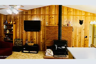 1667 Little Pine Trail, Forest Lakes, AZ 85931 - Photo 16