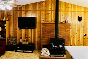 1667 Little Pine Trail, Forest Lakes, AZ 85931 - Photo 16